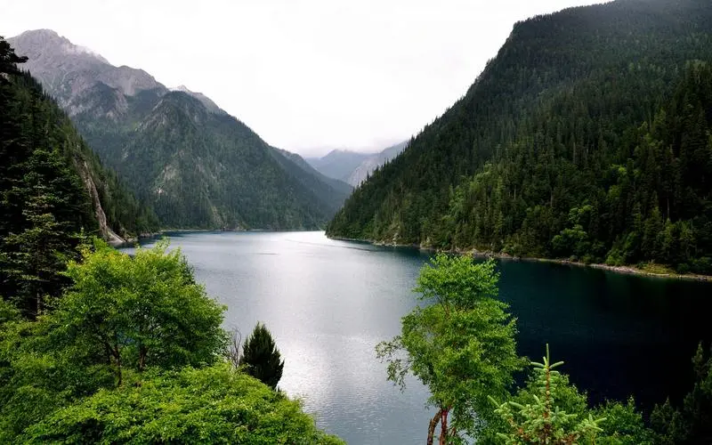 高端网络化